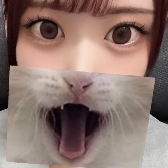 藤井かりんpicture