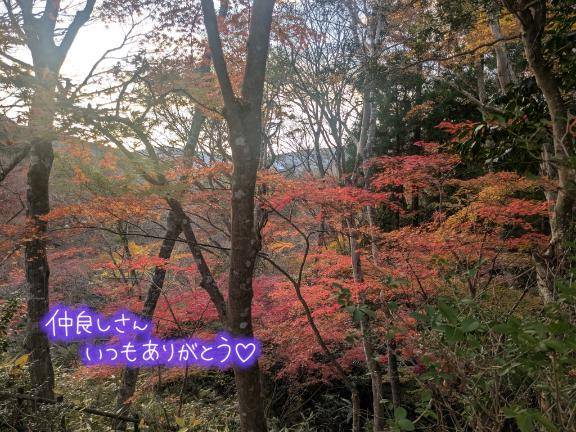 天海あんなpicture