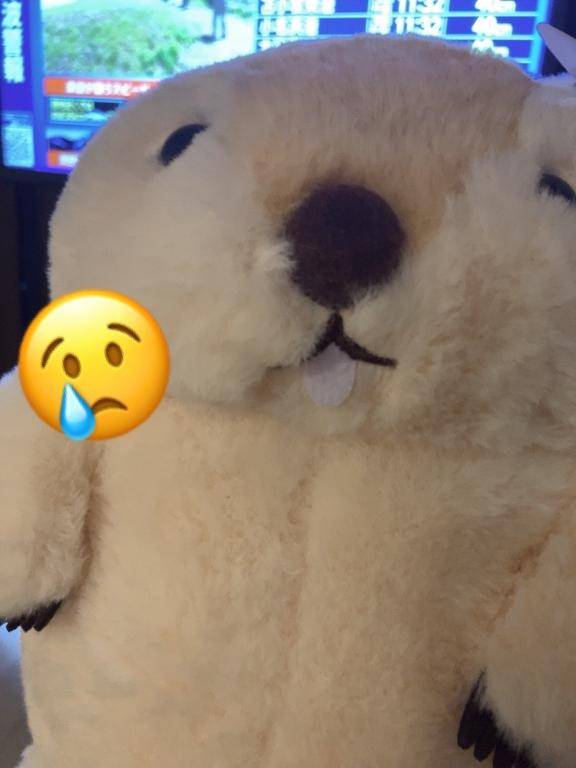 瀬谷れむpicture