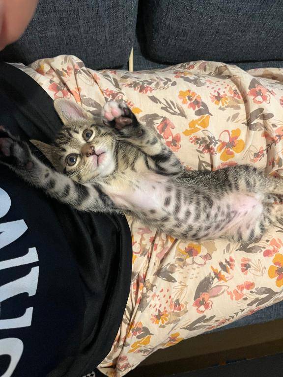 緒方めぐみpicture