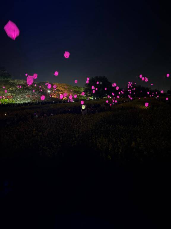 石橋ふゆなpicture